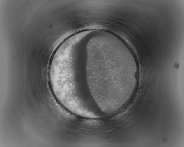 X0000115020853200911231248