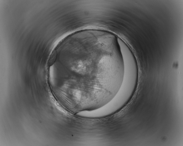 X0000115020854200911231248