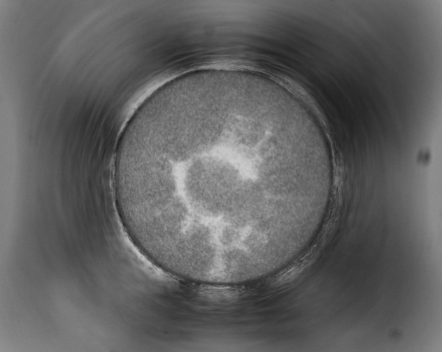 X0000115020855200911231248