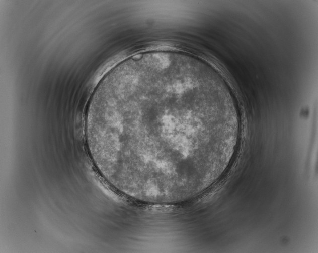 X0000115020858200911231249