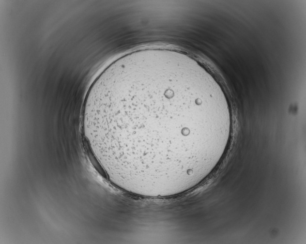 X0000115020860200911231249