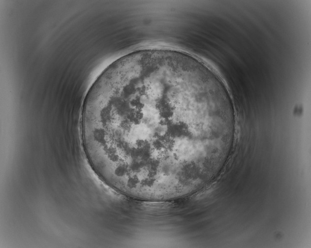 X0000115020863200911231249