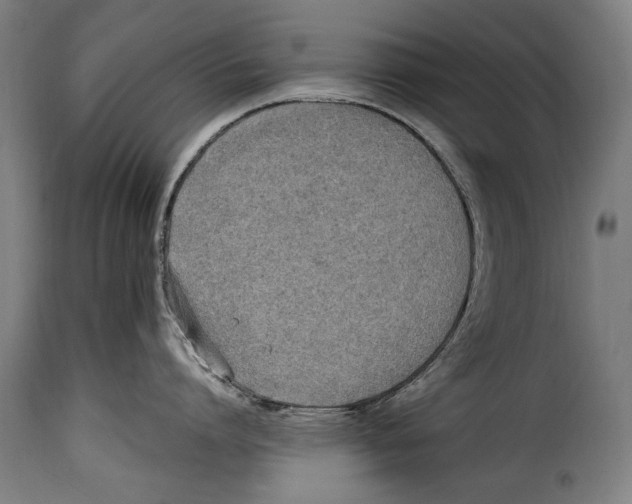 X0000115020864200911231249