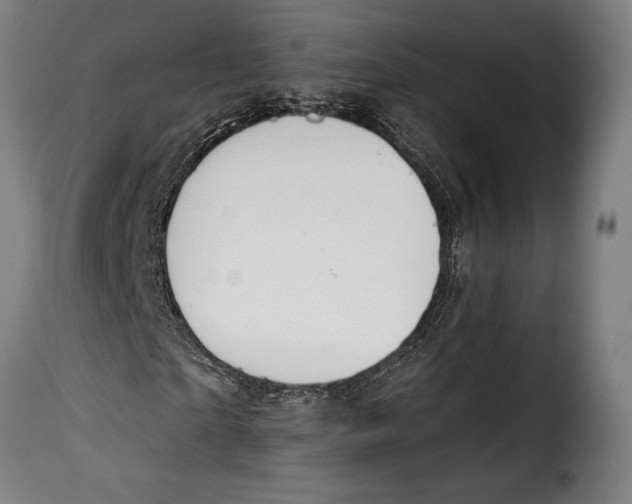 X0000115020865200911231248