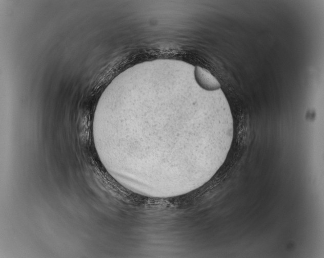 X0000115020866200911231248