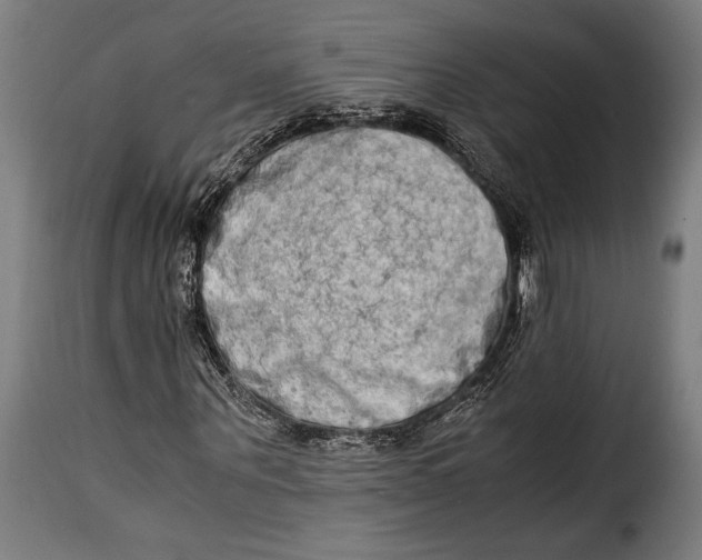 X0000115020867200911231248