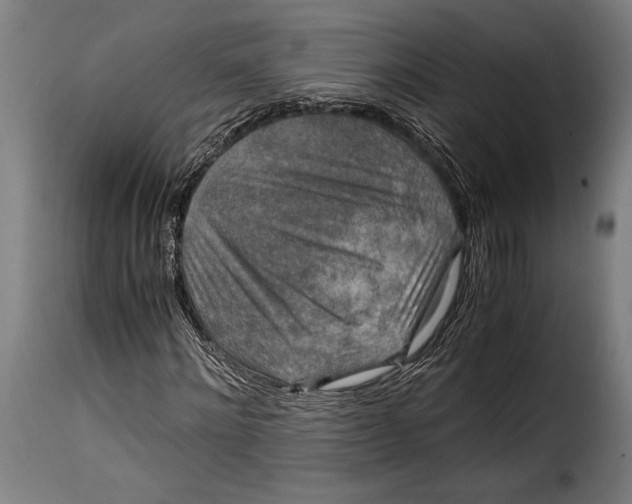 X0000115020868200911231248