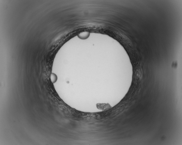 X0000115020869200911231248