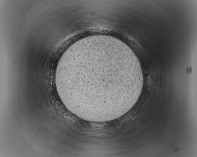 X0000115020870200911231248