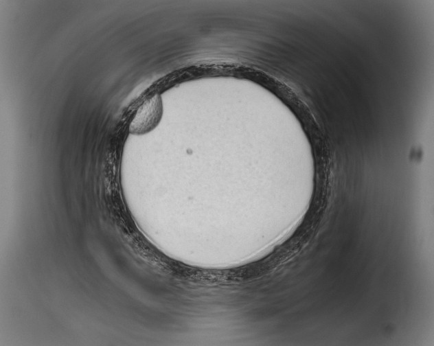 X0000115020871200911231248