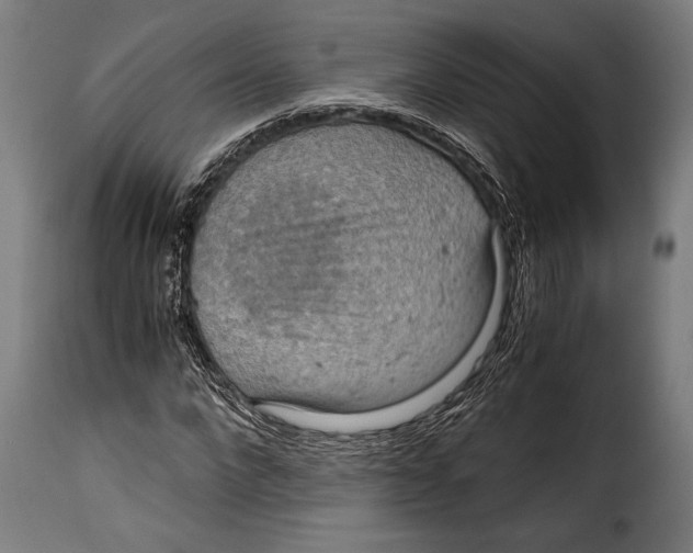 X0000115020872200911231248