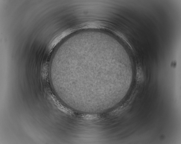 X0000115020874200911231248