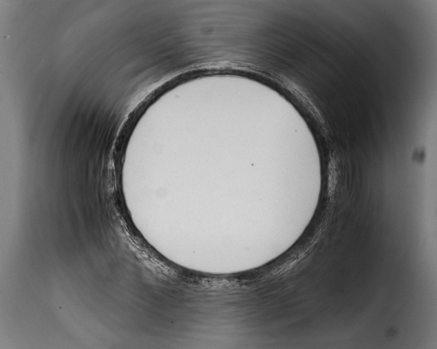 X0000115020876200911231248