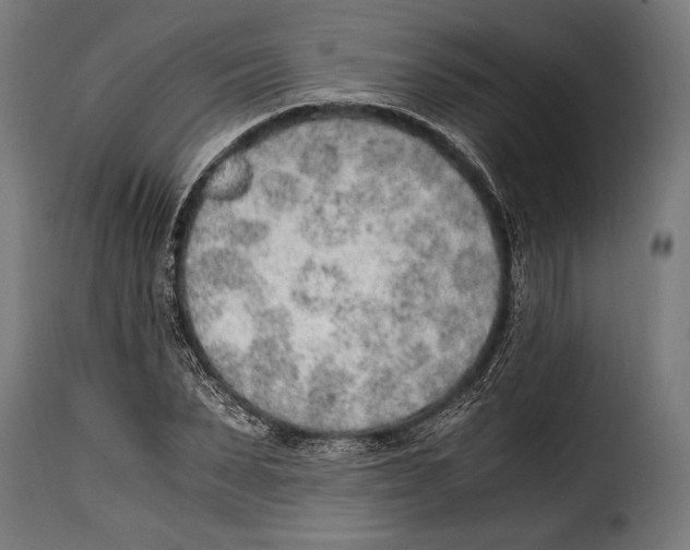 X0000115020879200911231248