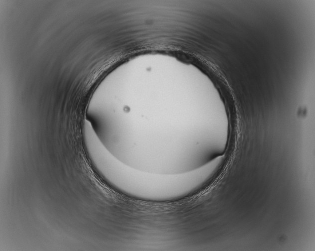 X0000115020881200911231248