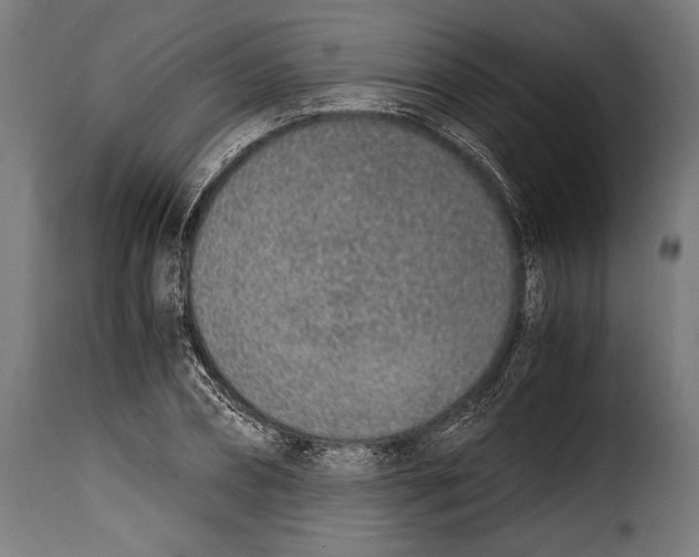 X0000115020882200911231248