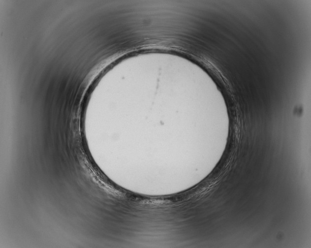 X0000115020884200911231248