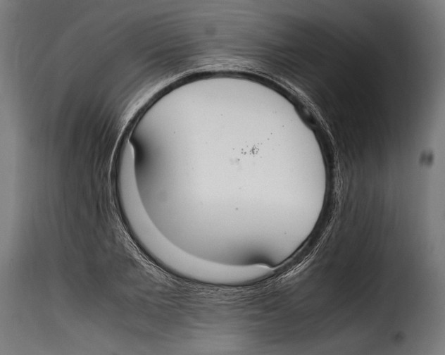 X0000115020885200911231248