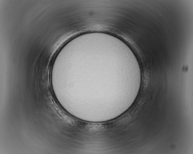 X0000115020886200911231248