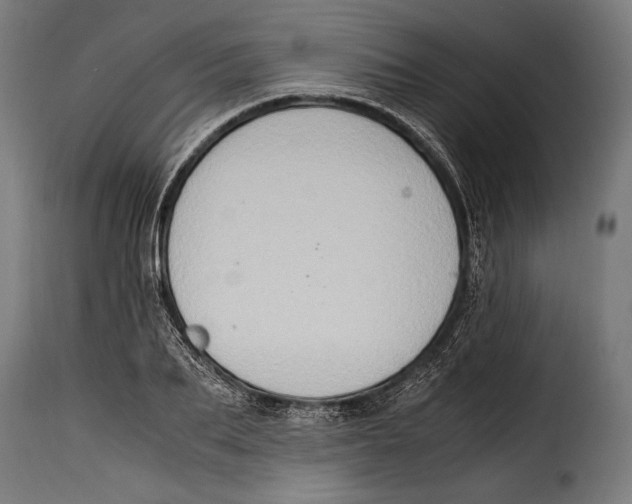 X0000115020887200911231248