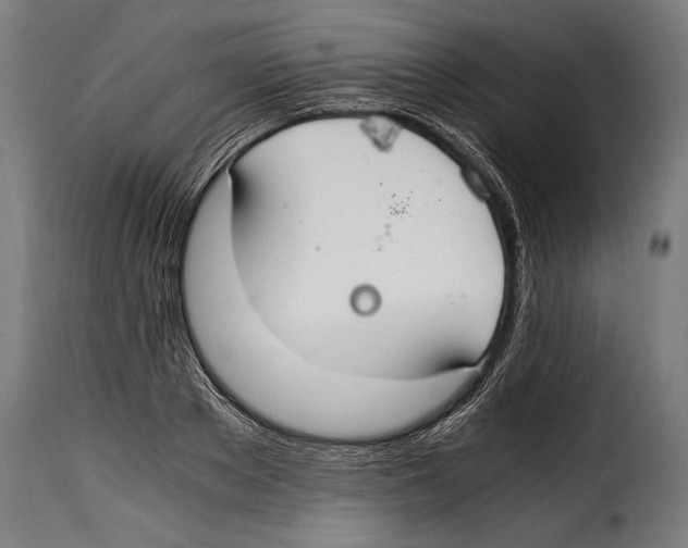 X0000115020889200911231248