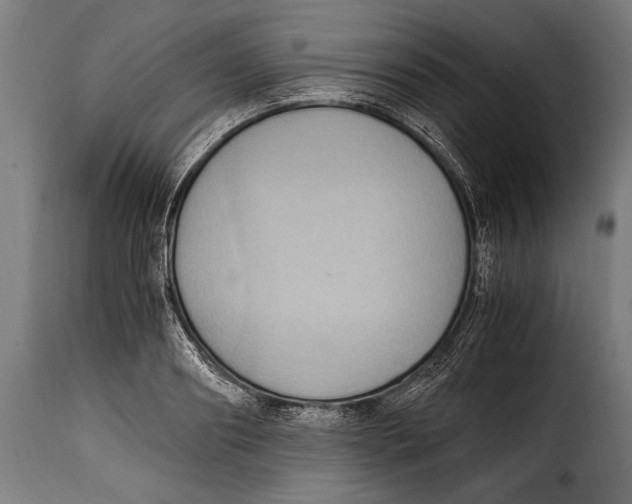 X0000115020890200911231248