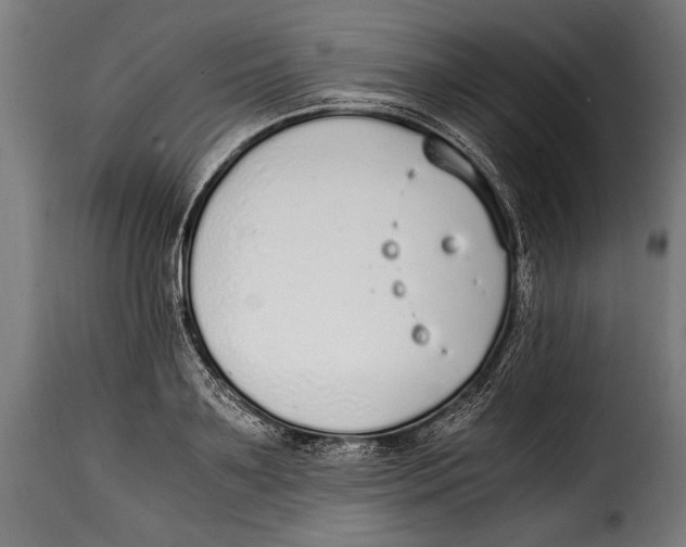 X0000115020891200911231248