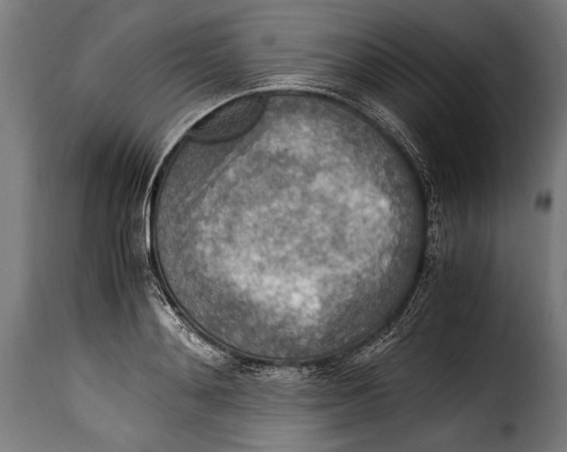 X0000115020892200911231248