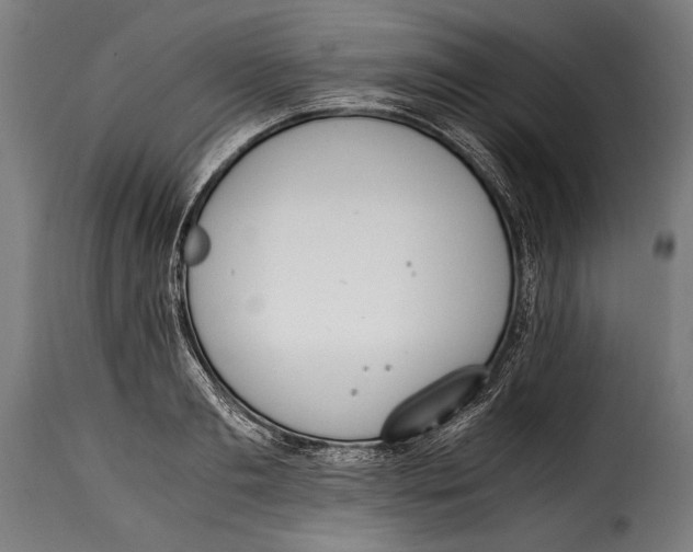 X0000115020893200911231248