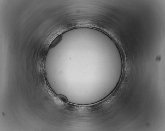 X0000115020897200911231248