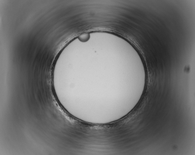 X0000115020898200911231248