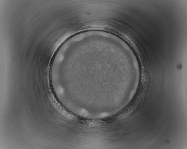 X0000115020899200911231247