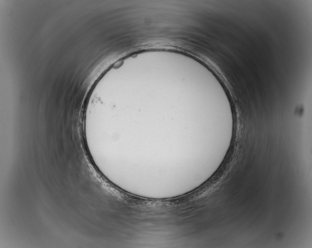 X0000115020901200911231247