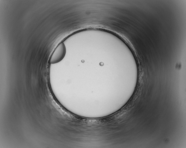 X0000115020903200911231247