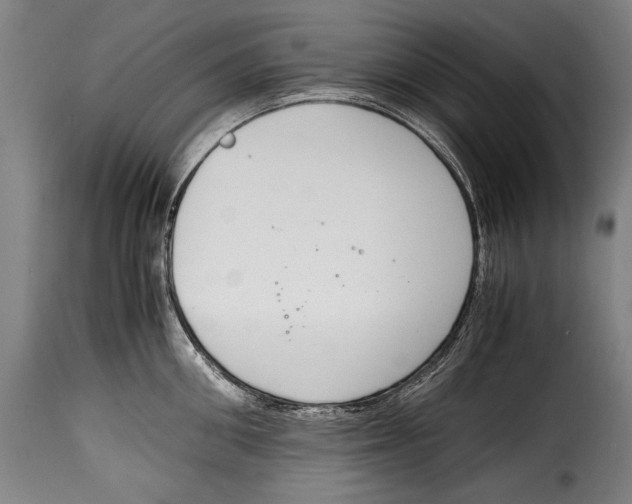 X0000115020906200911231247