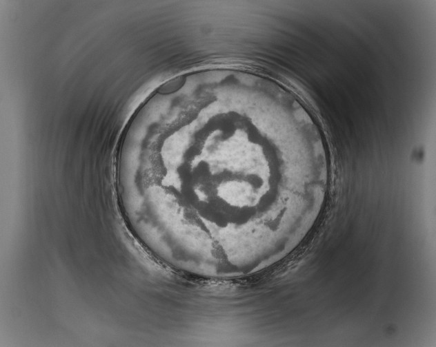 X0000115020907200911231247