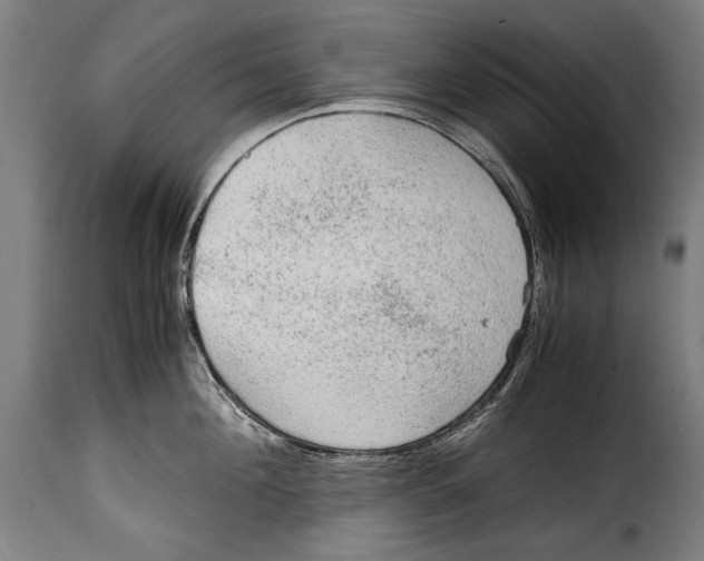 X0000115020908200911231247