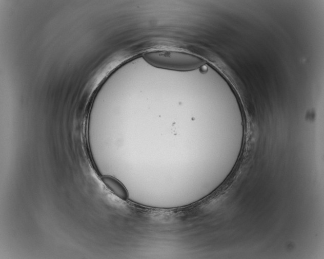 X0000115020909200911231247