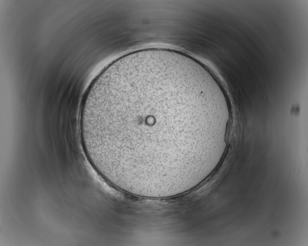 X0000115020910200911231247