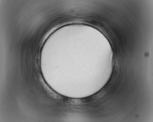 X0000115020911200911231247