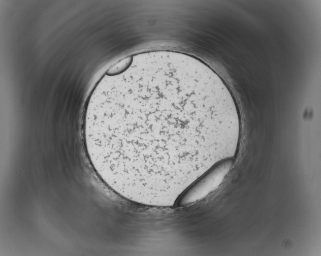 X0000115020912200911231247