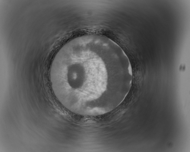 X0000115020913200911231247