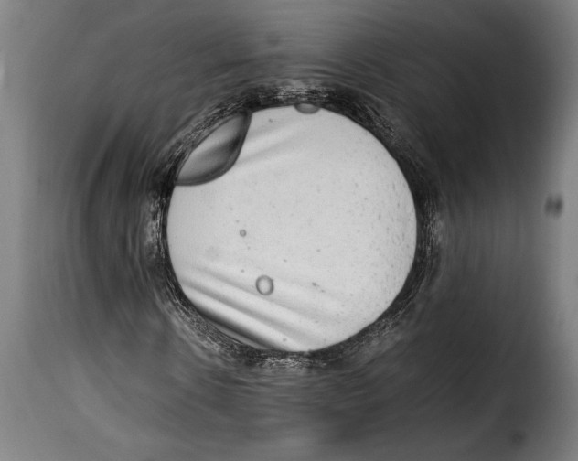 X0000115020914200911231247