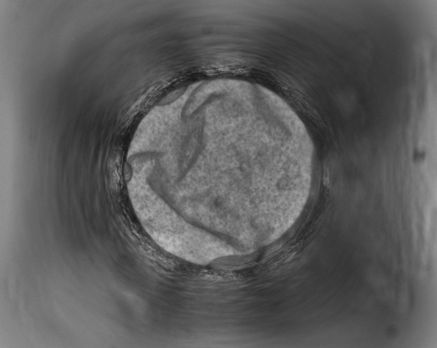 X0000115020915200911231247