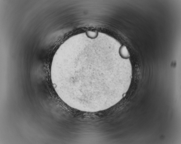 X0000115020918200911231247