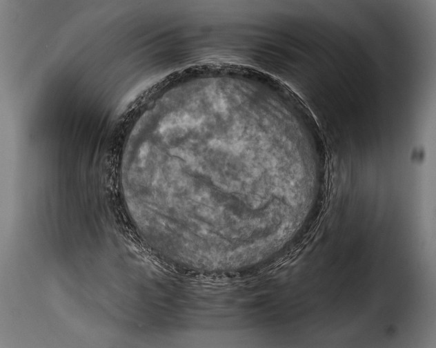 X0000115020919200911231247