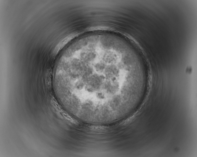 X0000115020921200911231247