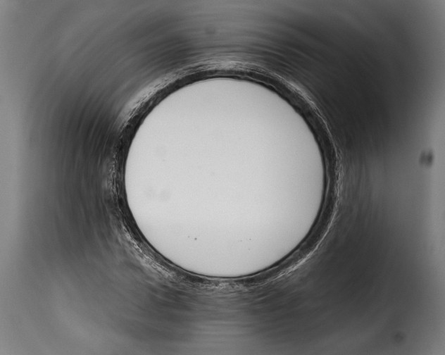 X0000115020922200911231247