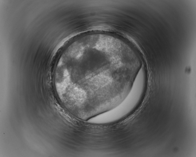 X0000115020923200911231247