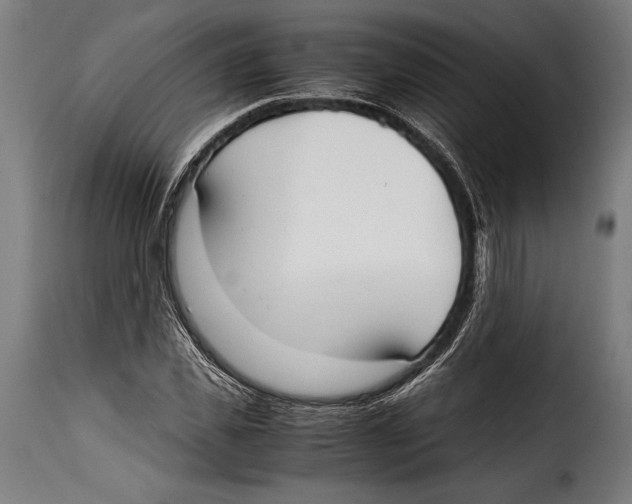 X0000115020925200911231247